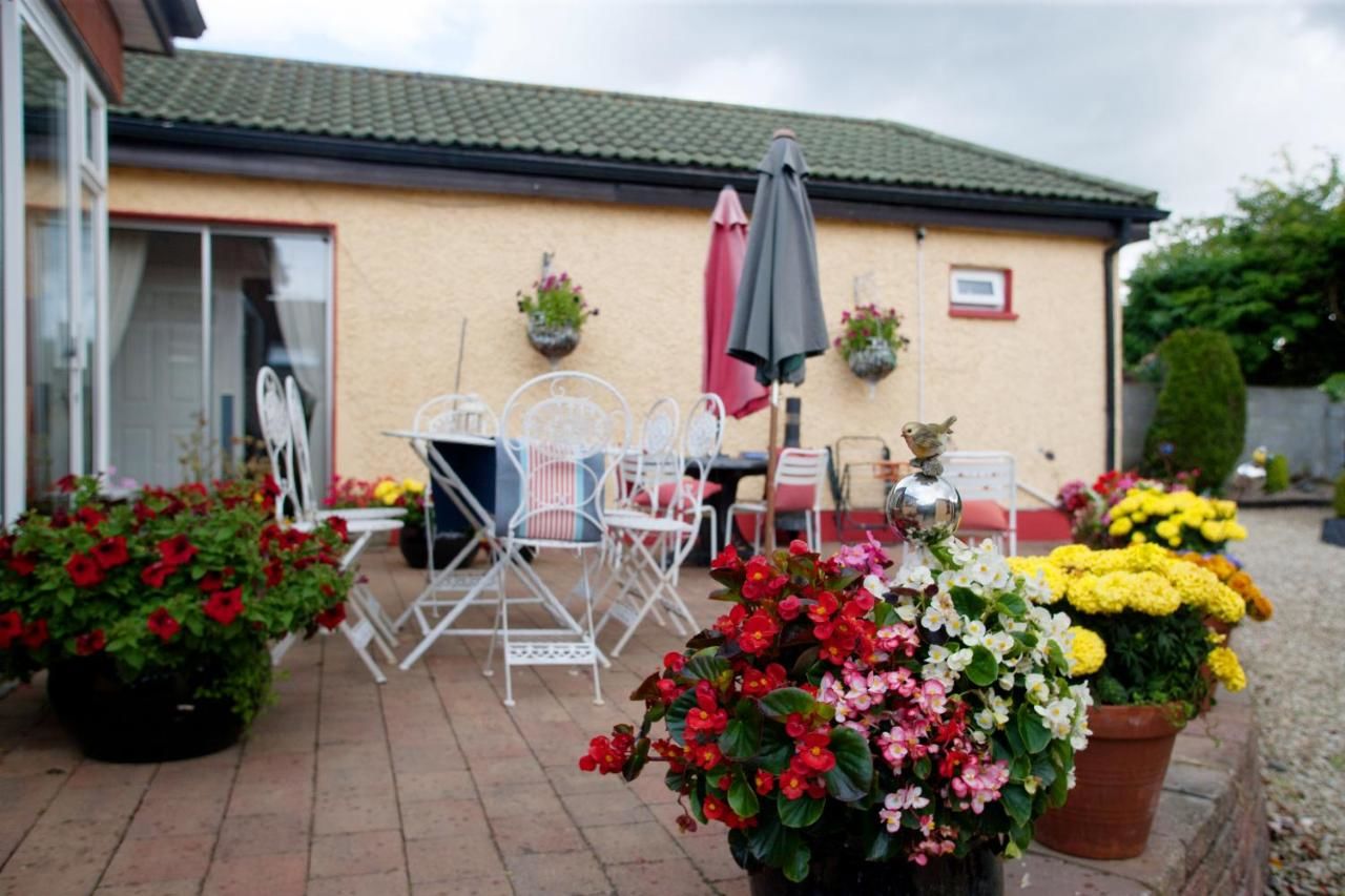 Отели типа «постель и завтрак» Krakow B&B Дандолк-22