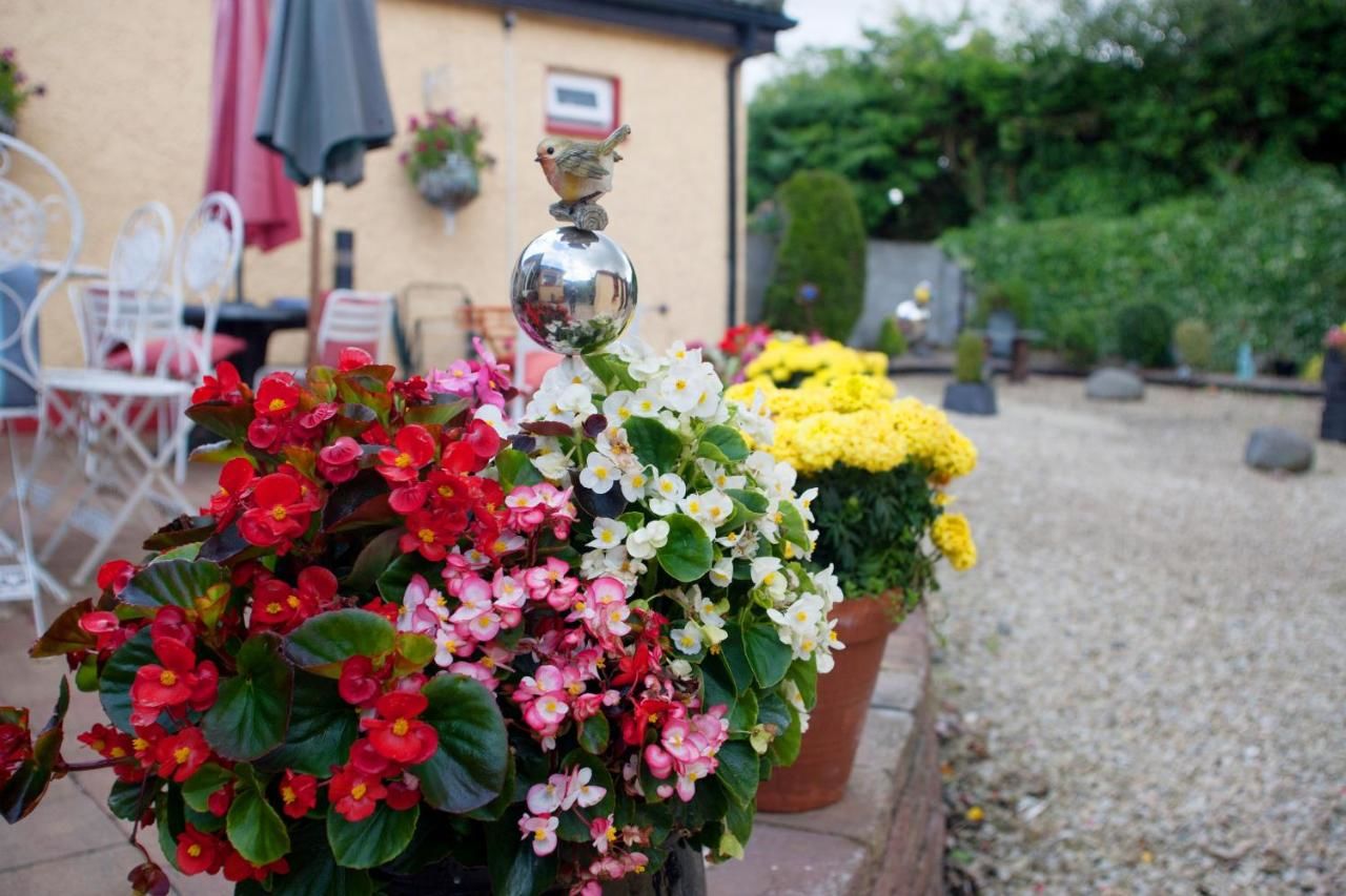 Отели типа «постель и завтрак» Krakow B&B Дандолк