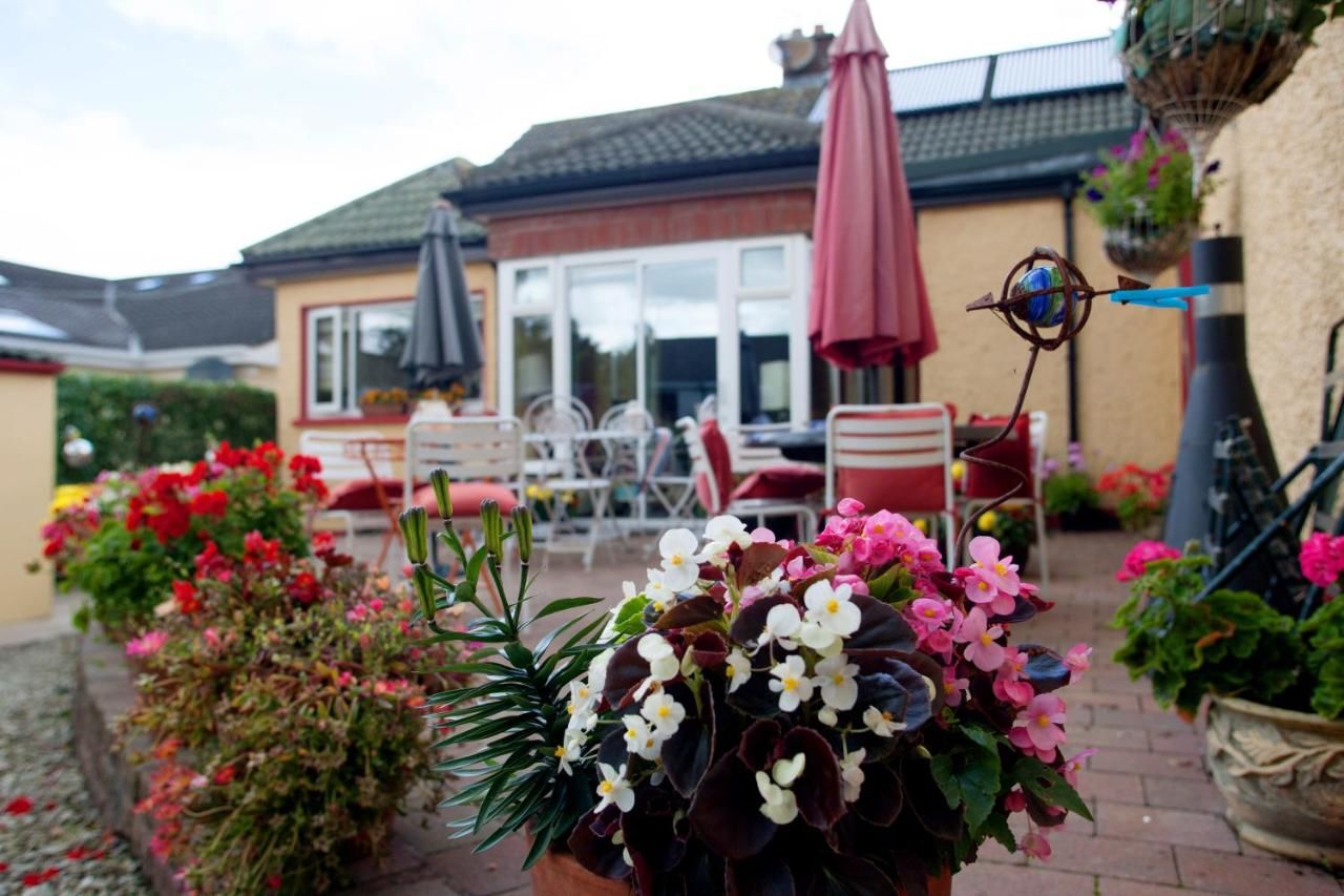Отели типа «постель и завтрак» Krakow B&B Дандолк-25